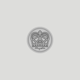 Misaka Mikoto Railgun Coin