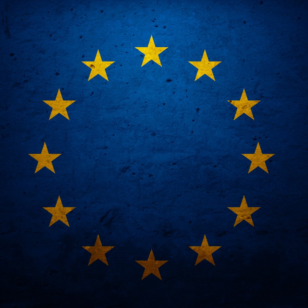 European Union Flags PFP