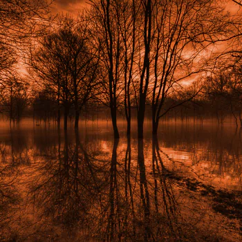  Red Sky's Reflection
