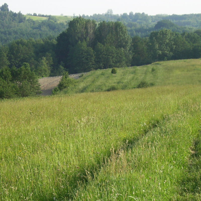 Poland natural landscape