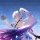 Honkai Impact 3rd