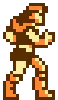 video game Castlevania PFP