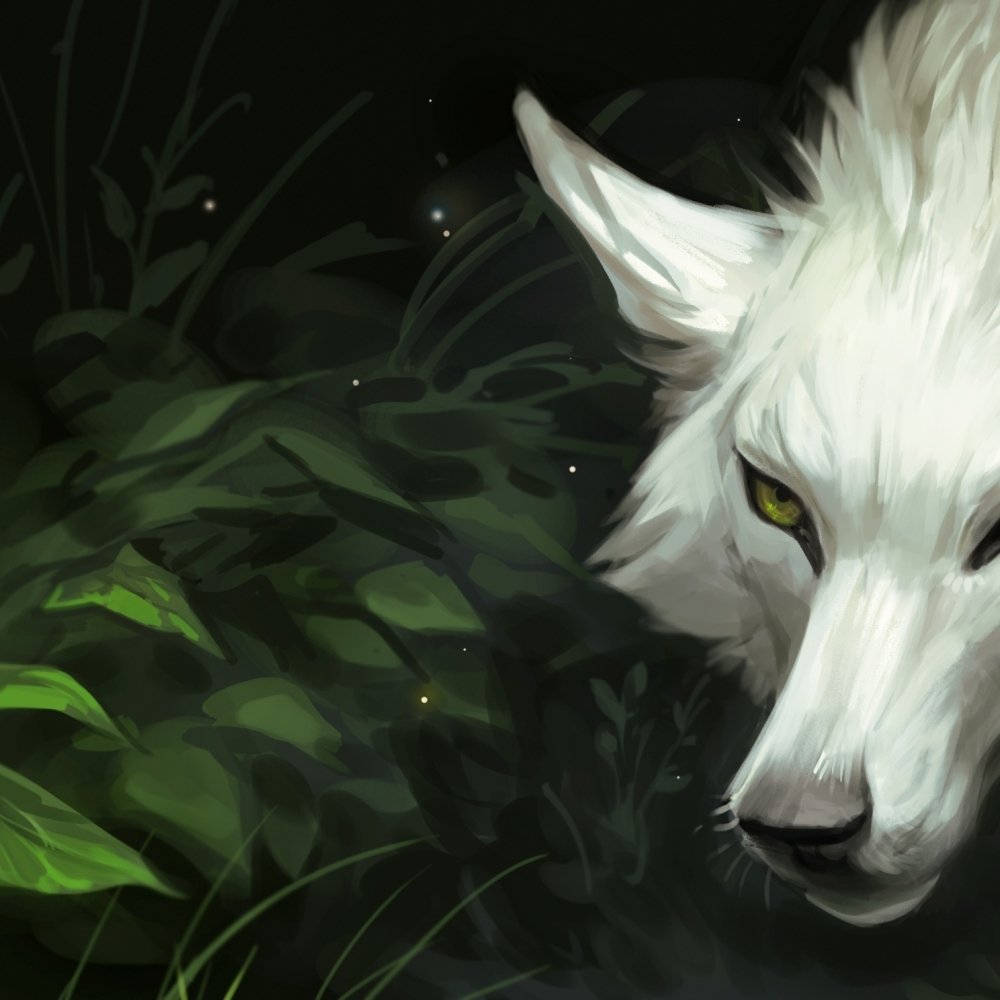 Download Fantasy Wolf PFP