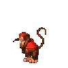 video game donkey kong country PFP
