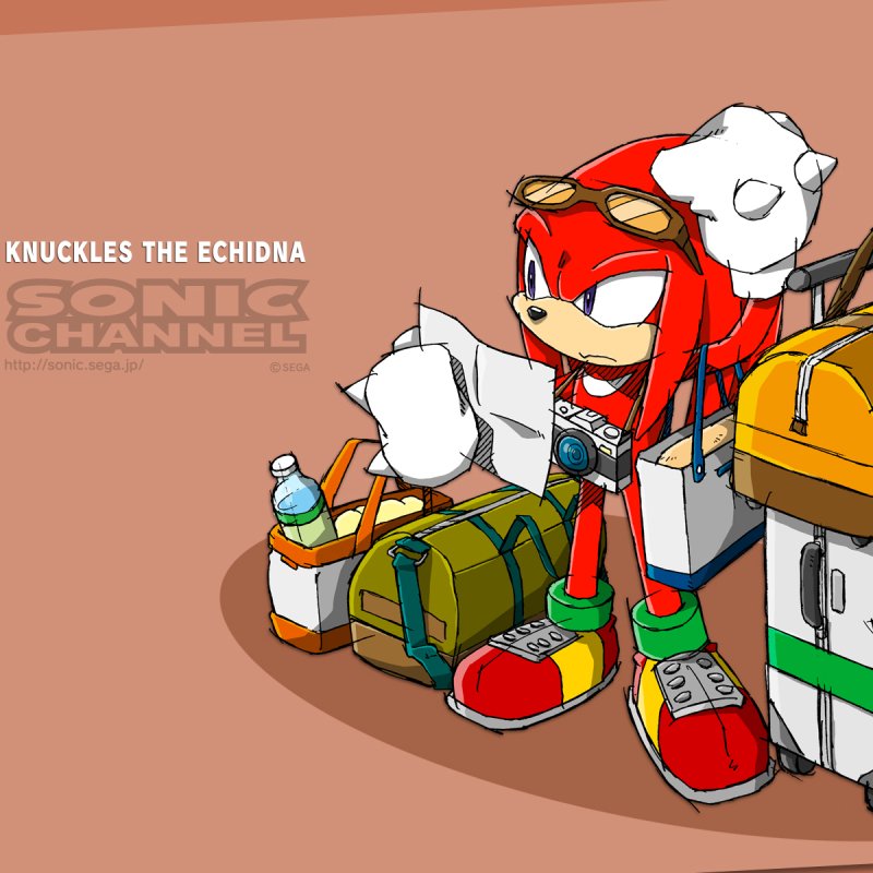 Download Video Game Sonic The Hedgehog PFP