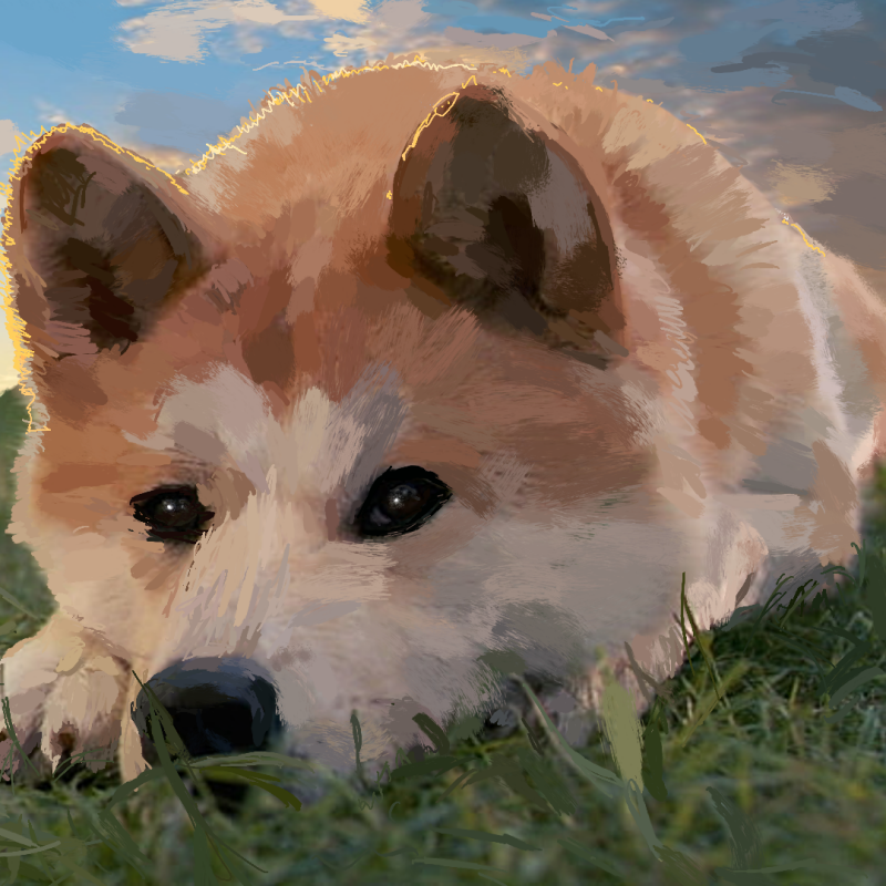 Shiba Inu PFP