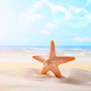 Animal starfish PFP