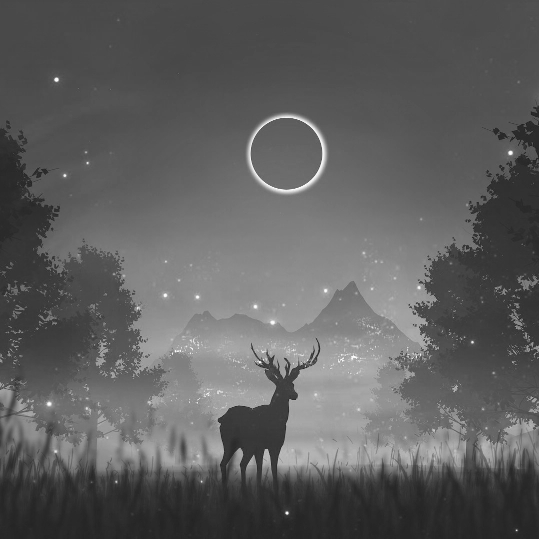Deer and the Fireflies by Muhammad Nafay