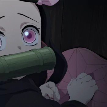  Nezuko inside the box