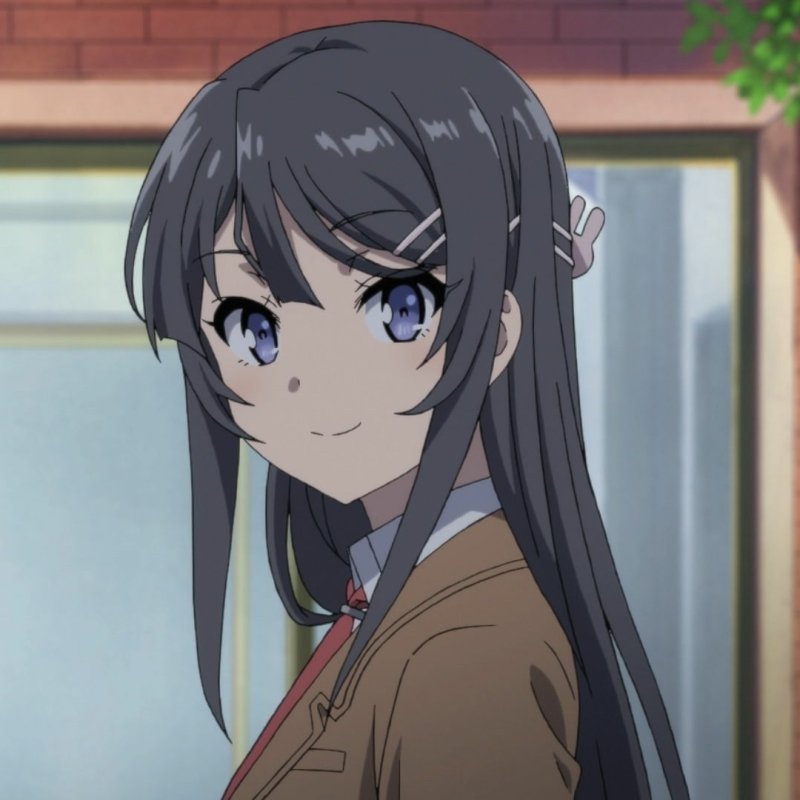 Download Anime Rascal Does Not Dream Of Bunny Girl Senpai PFP