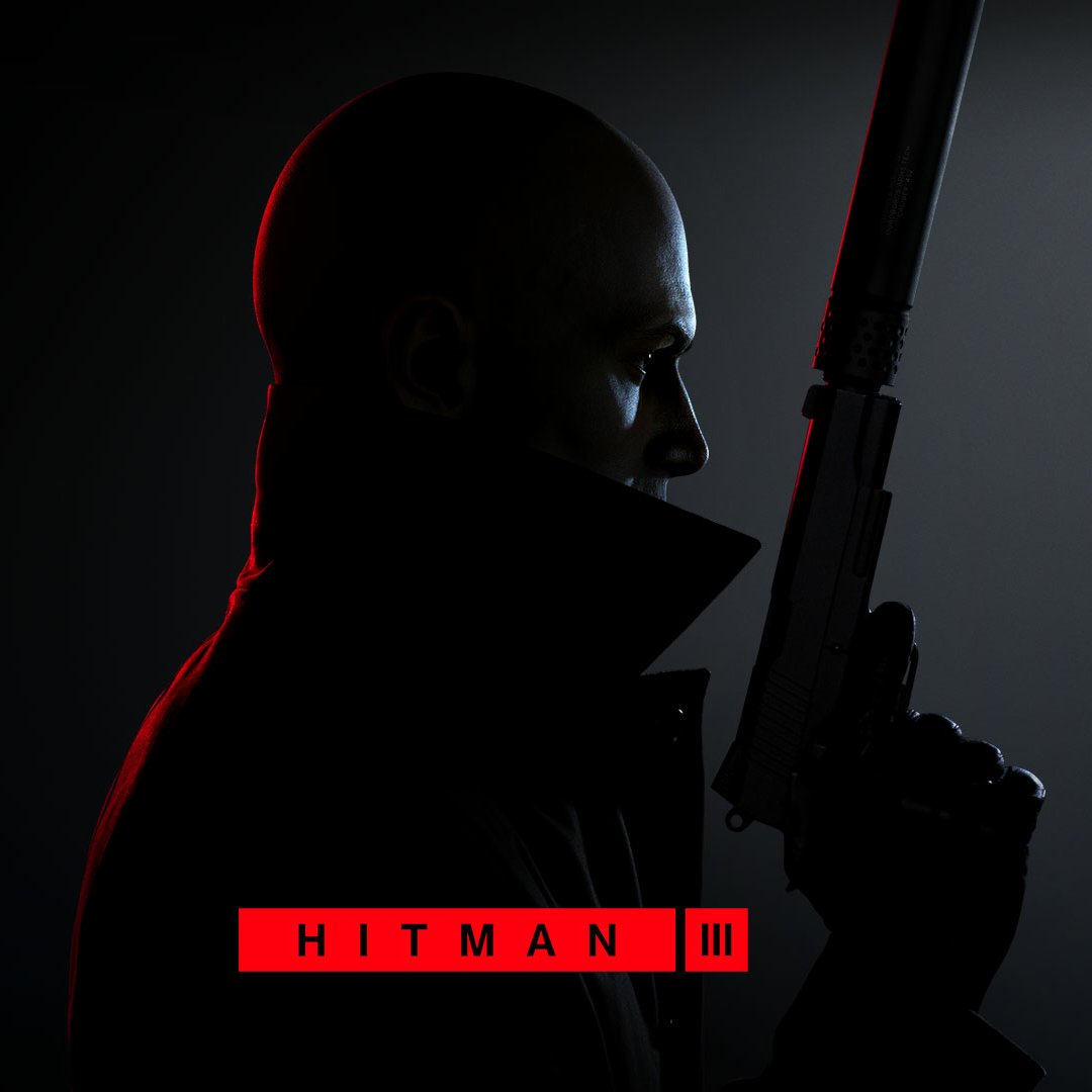 Download Video Game Hitman 3 PFP