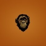Download Animal Monkey PFP
