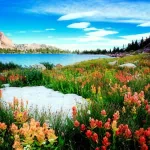 nature lake PFP