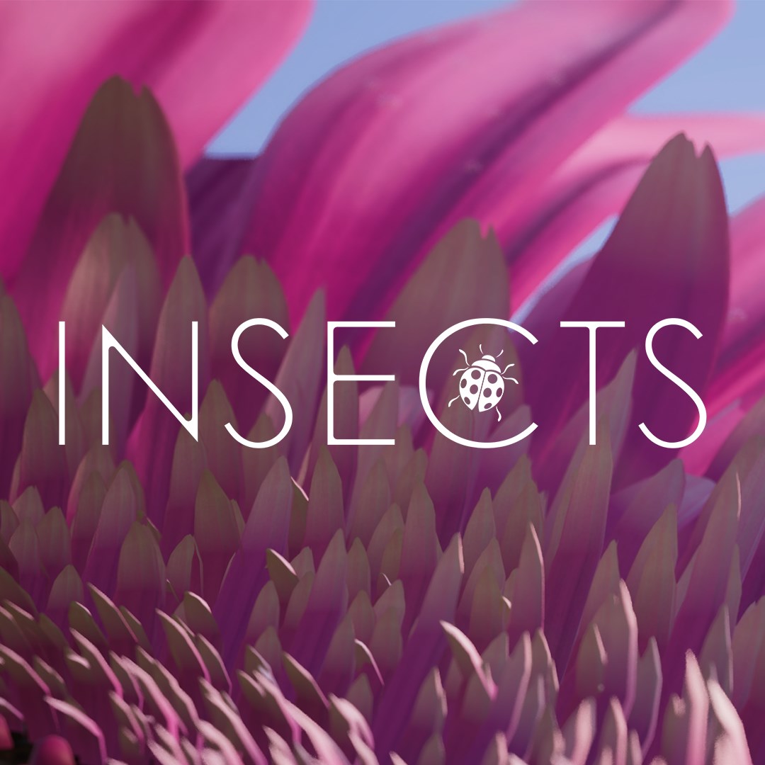 insects-pfp