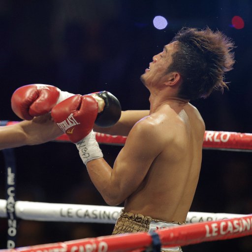 Download Boxing Sports PFP