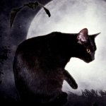 Download Fantasy Dark Dark Fantasy PFP