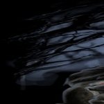 Download Dark Skeleton PFP