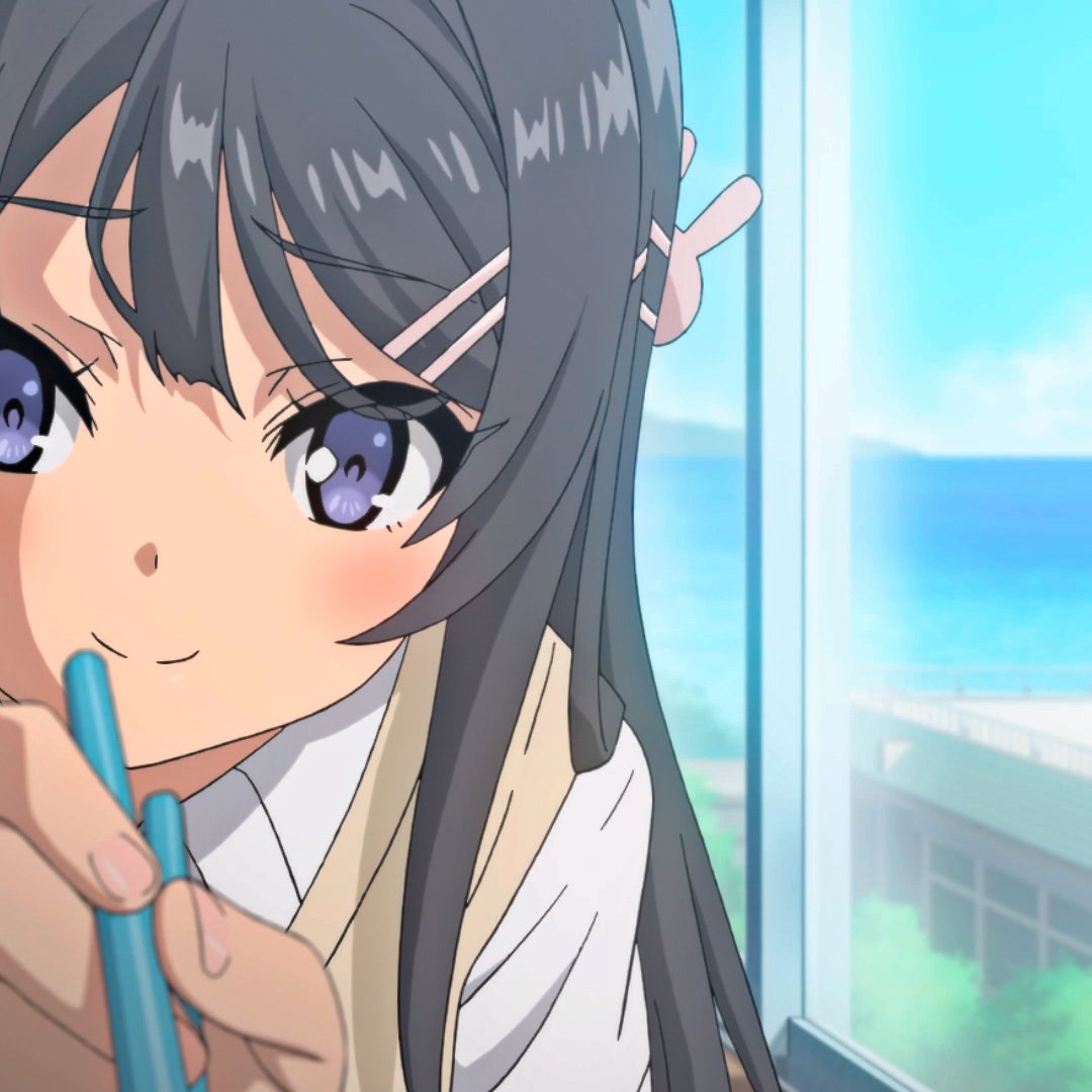 Download Anime Rascal Does Not Dream Of Bunny Girl Senpai PFP