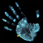 video game frostbite PFP