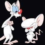 Download TV Show Pinky And The Brain PFP