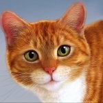 Download Animal Cat  PFP