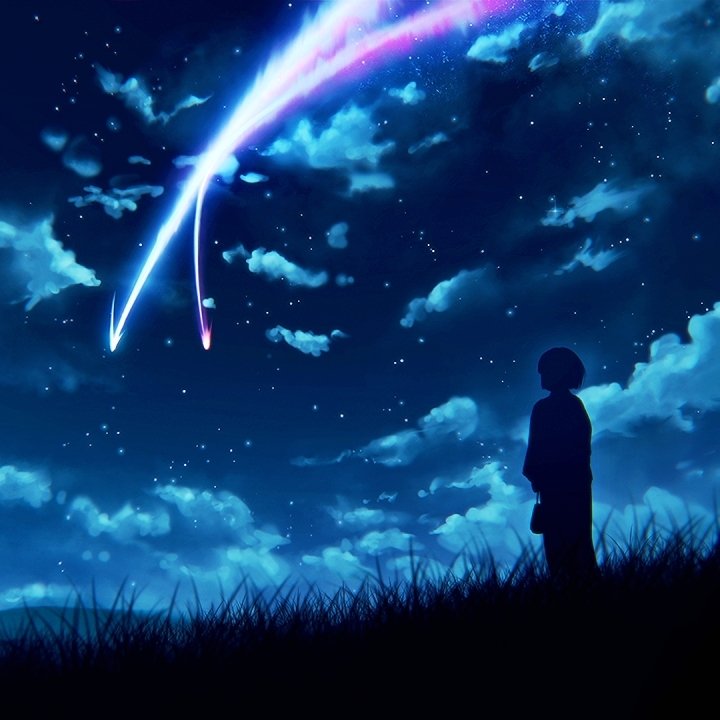 Anime forum avatar referencing Your Name.: silhouetted figure on a grassy hill watching two glowing comet tails streak across a star-filled night sky