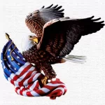 man made american flag PFP