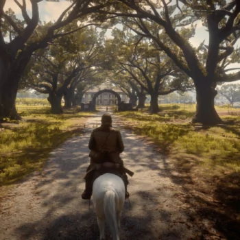  Red Dead Redemption 2