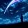 Your Name.