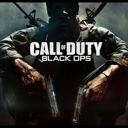 Download Video Game Call Of Duty: Black Ops PFP