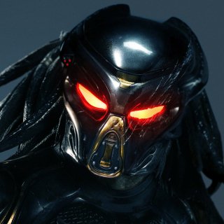 The Predator PFP