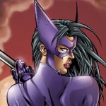 Comic Huntress (DC Comics) PFP