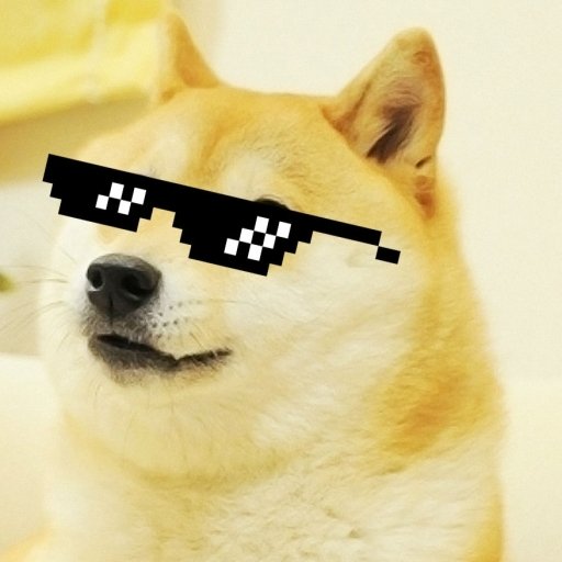 Download Funny Doge PFP