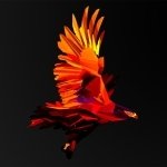 Download Abstract Facets PFP