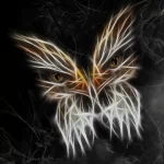  Dark Butterfly