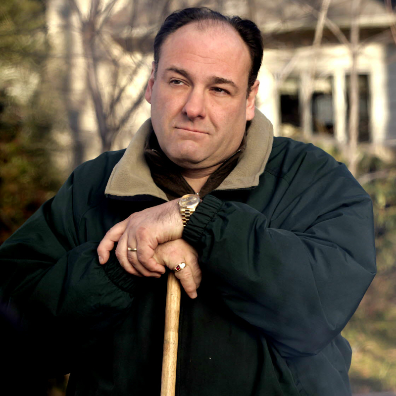 Download TV Show The Sopranos PFP