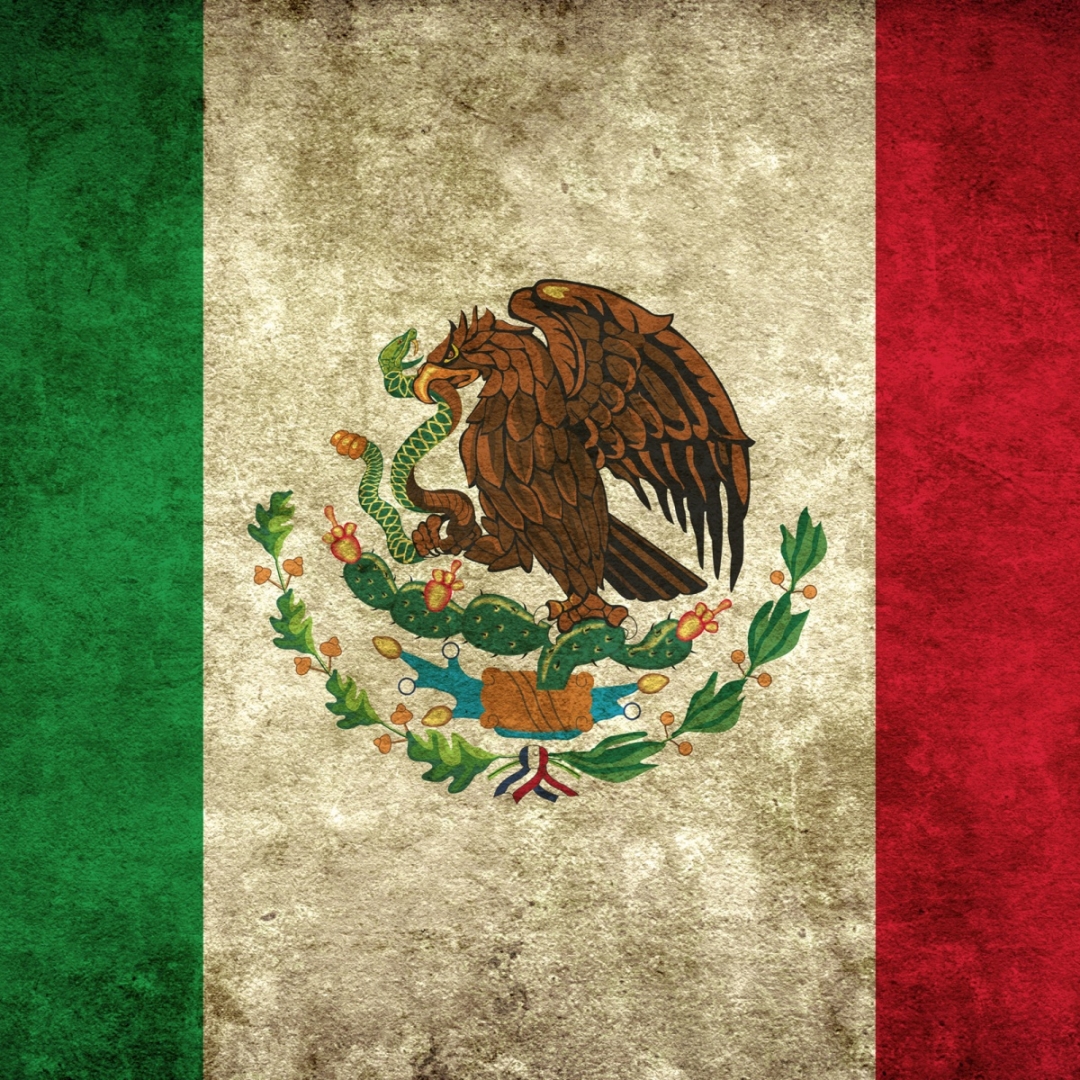 flag of mexico Pfp