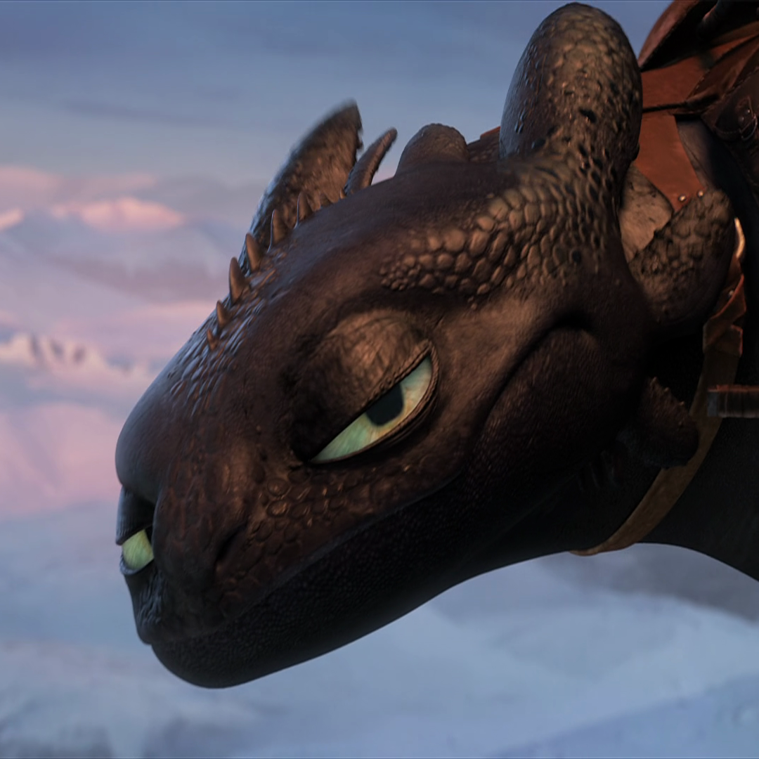 How to Train Your Dragon 2 Pfp