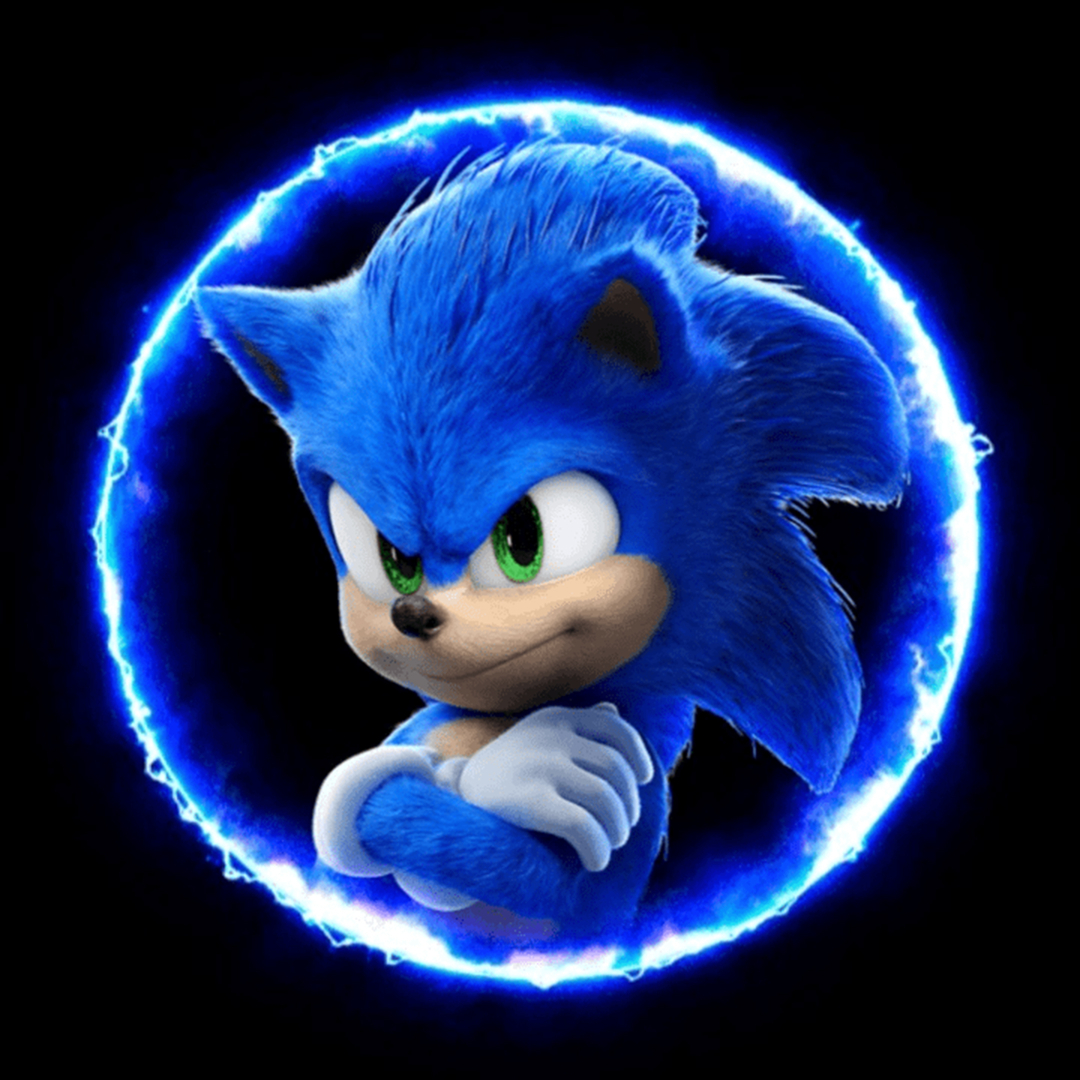 Sonic the Hedgehog Pfp