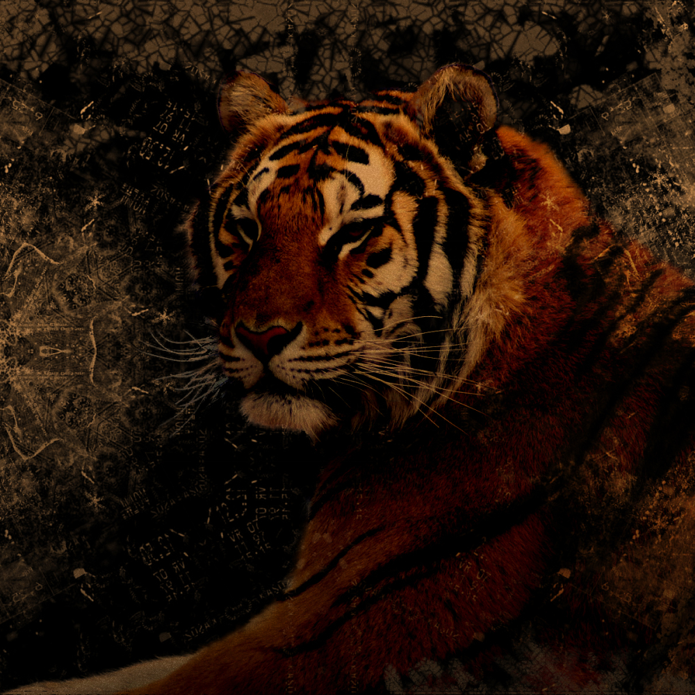 Grunge Tiger