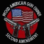 Download Misc 2nd Amendment PFP