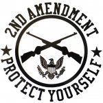 Download Misc 2nd Amendment PFP