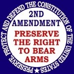 Download Misc 2nd Amendment PFP