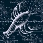 Download Fantasy Zodiac PFP