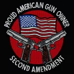 Misc 2nd amendment PFP