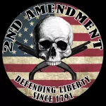 Misc 2nd amendment PFP