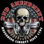 Misc 2nd amendment PFP