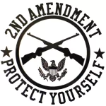 Misc 2nd amendment PFP