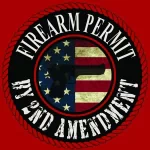 Misc 2nd amendment PFP