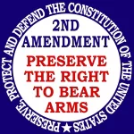Misc 2nd amendment PFP